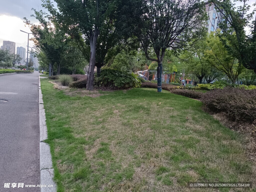 路边绿意盎然的草地与树木