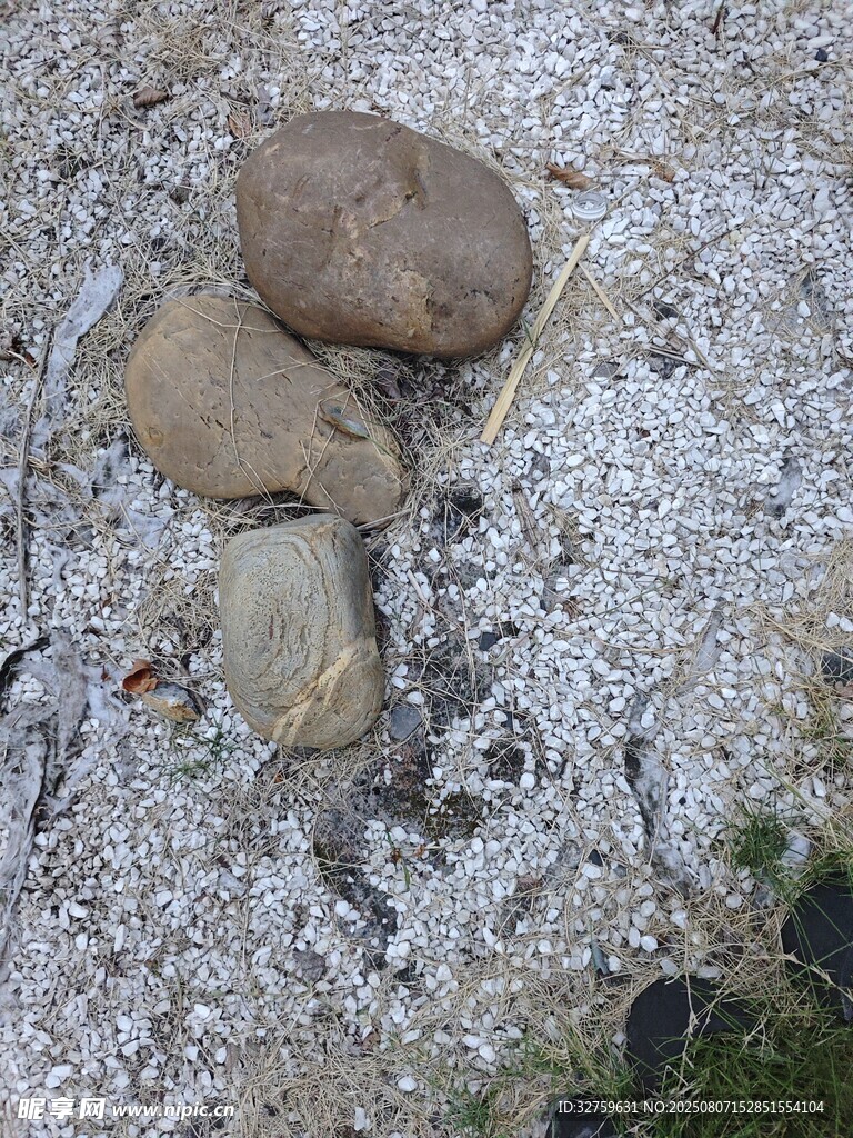 地面上的几块石头