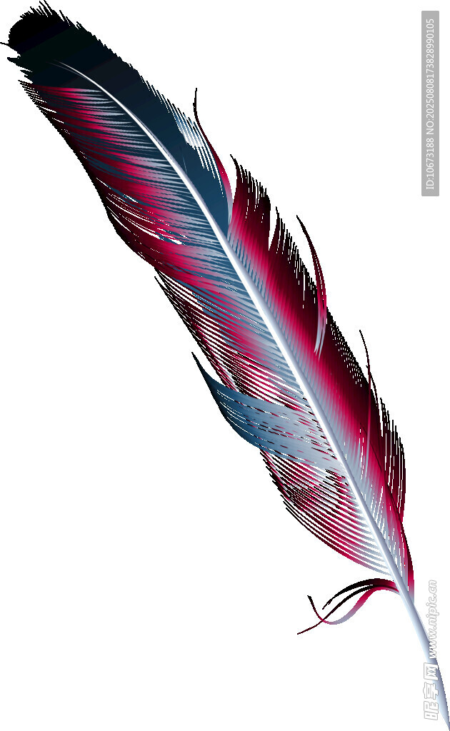彩色绚丽羽毛特写