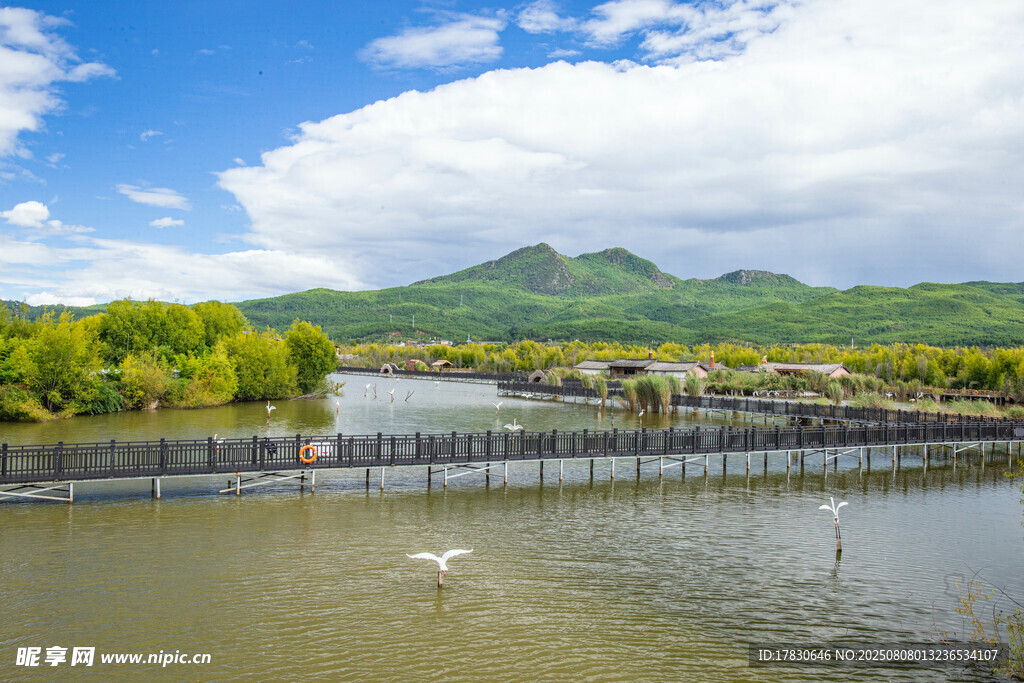 河畔自然风光美景