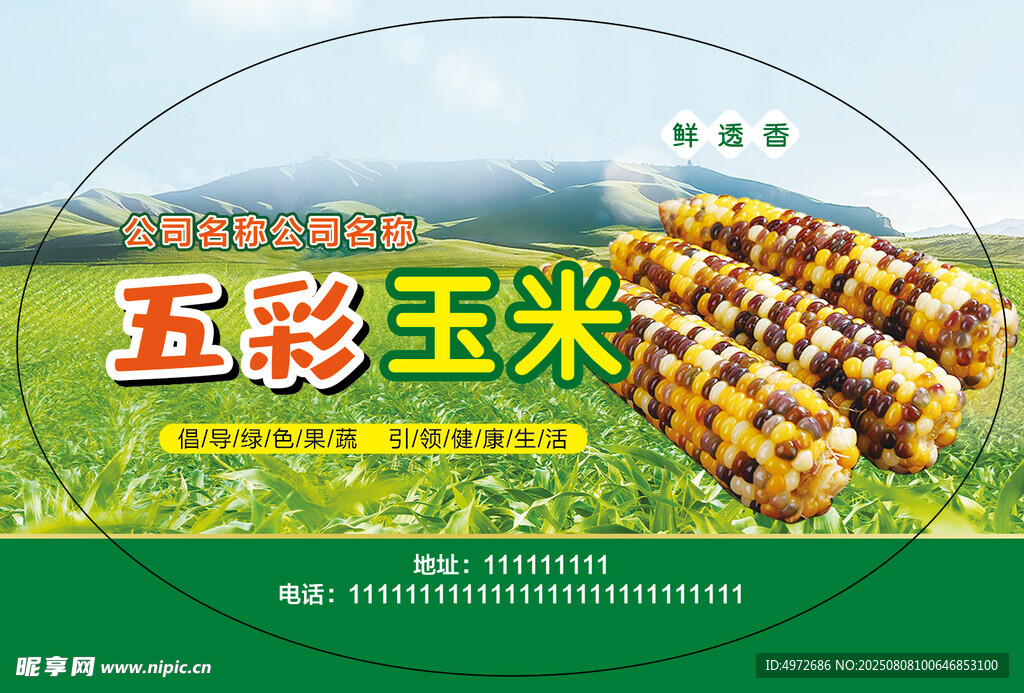 五彩玉米不干胶