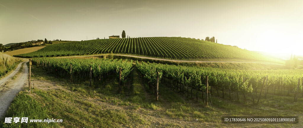 田园风光中的美丽日落