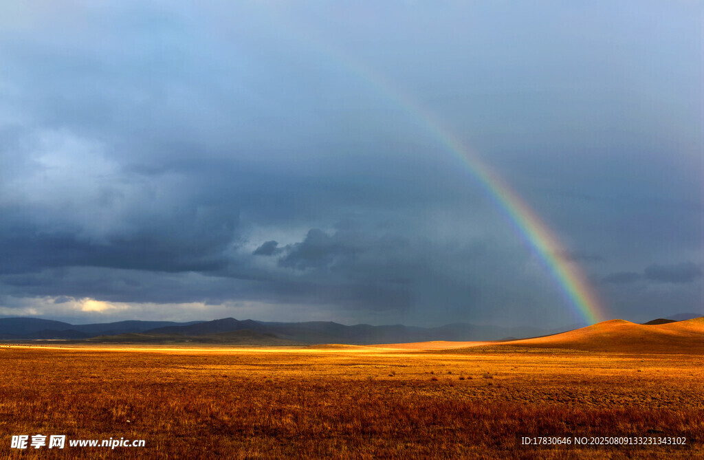 草原上空的绚丽彩虹