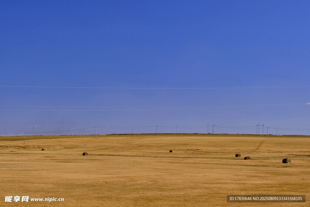 广袤荒原上的稀疏身影