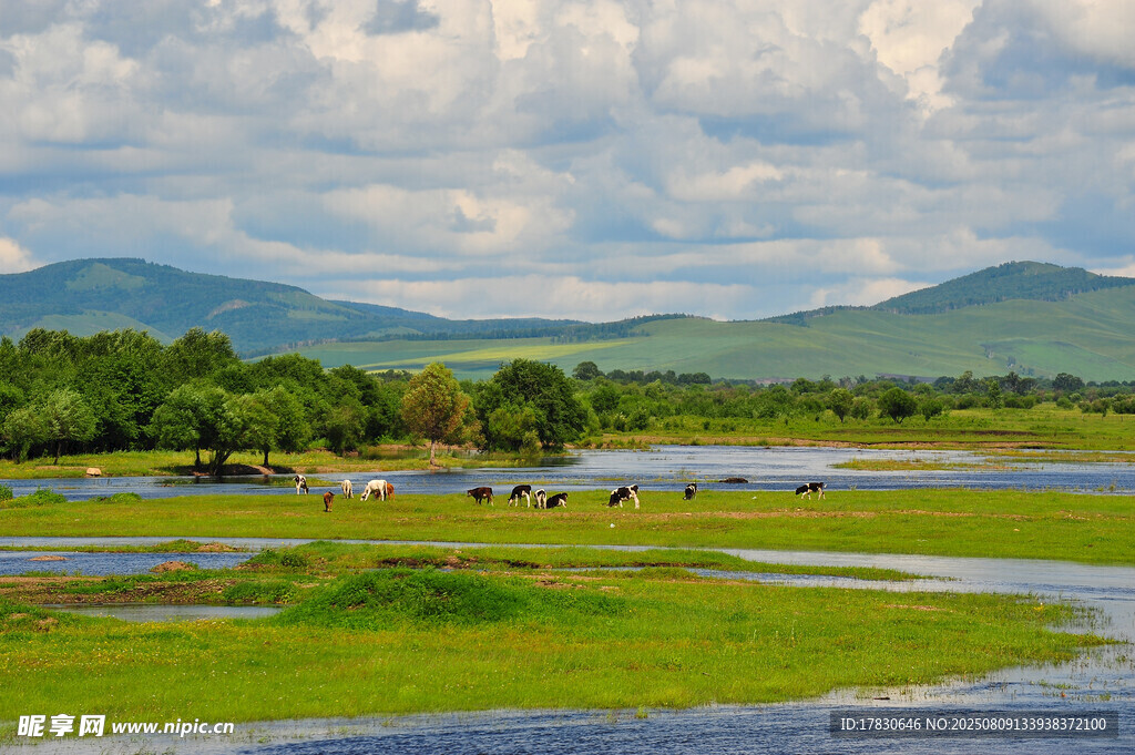 草原湿地风光美景