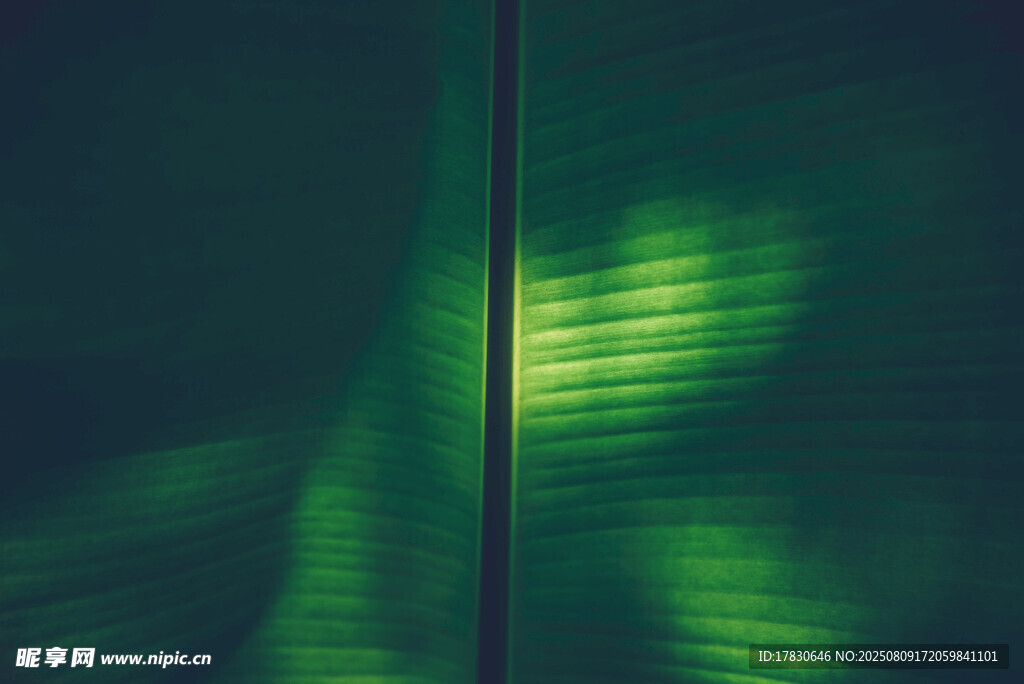 绿色光影抽象艺术画面