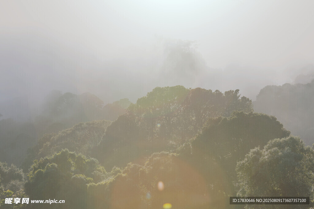 山间晨雾中的阳光美景