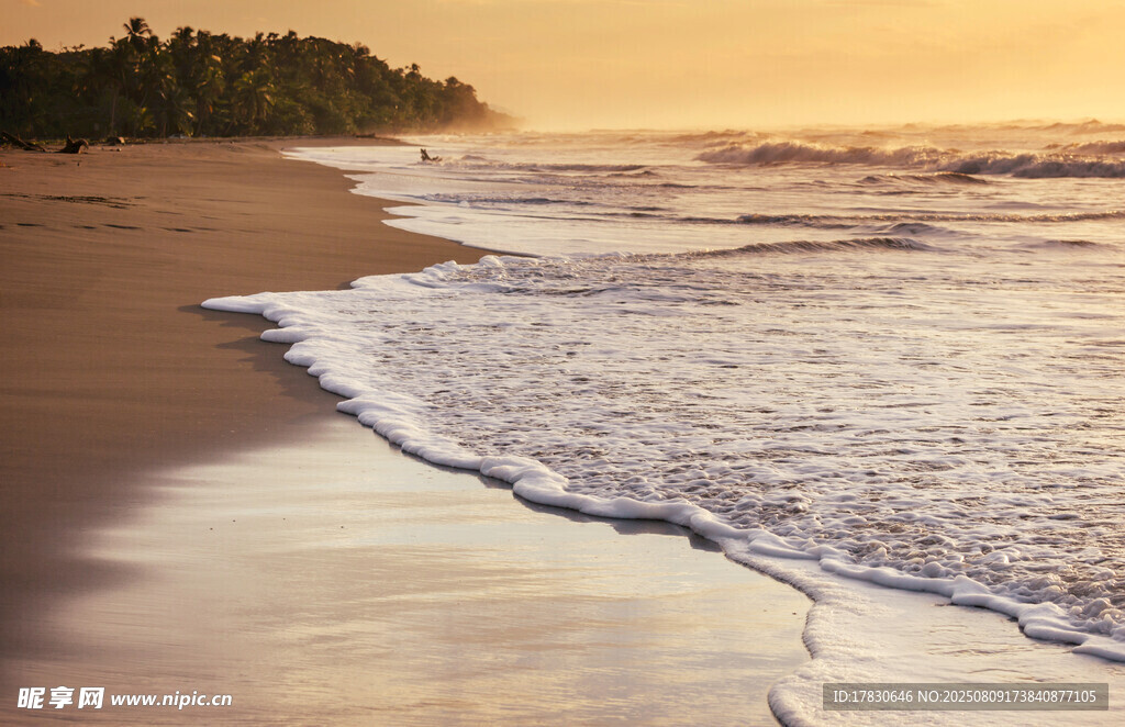夕阳下的海滩海浪美景