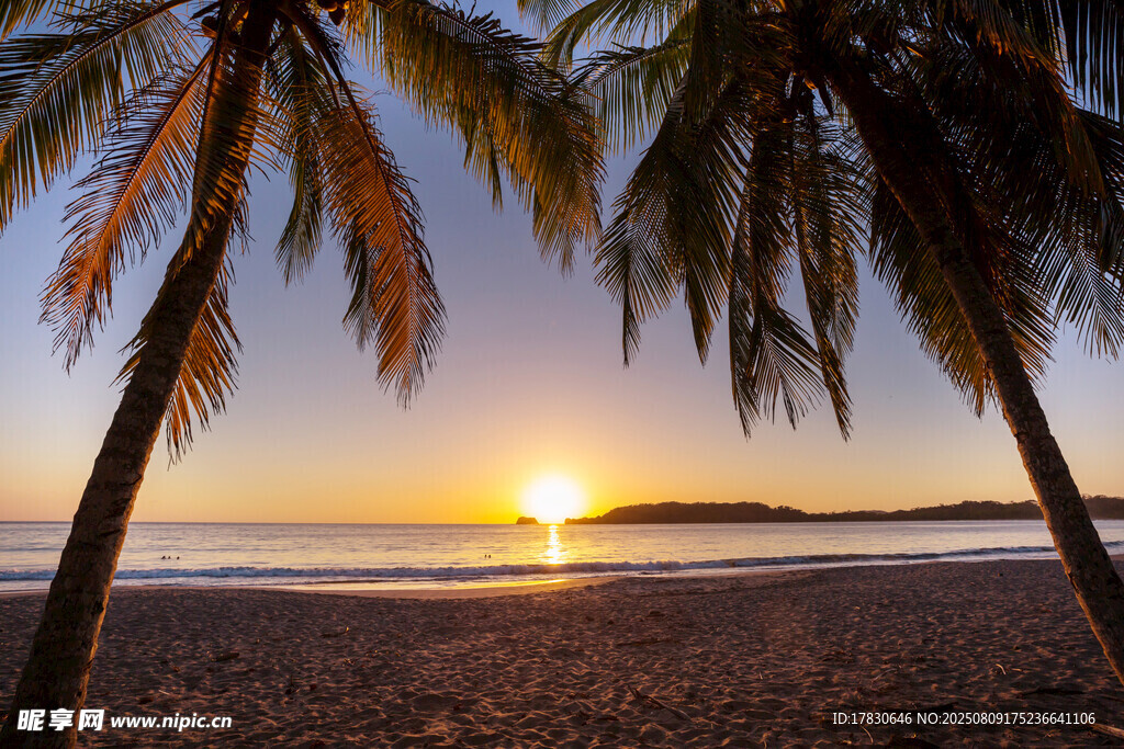 夕阳下的椰树海滩美景