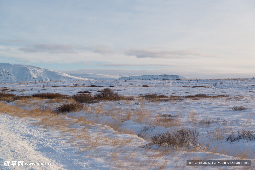 冬日雪地旷野风景