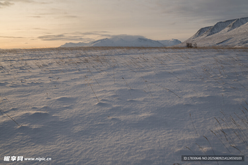 雪地旷野的静谧风光