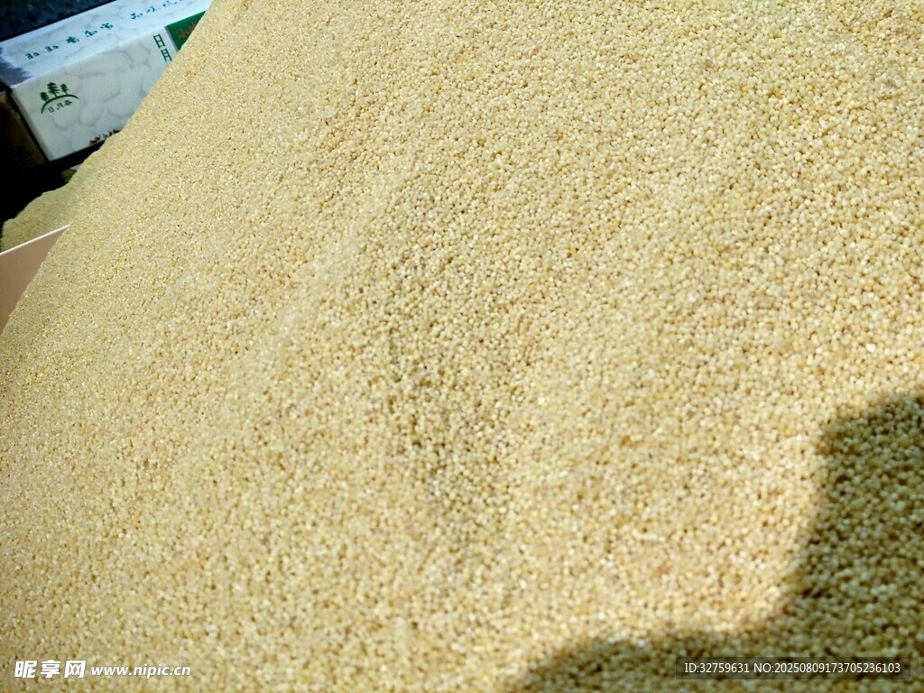 金黄饱满的谷物堆