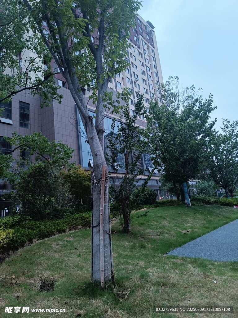 小区内绿意盎然的景观