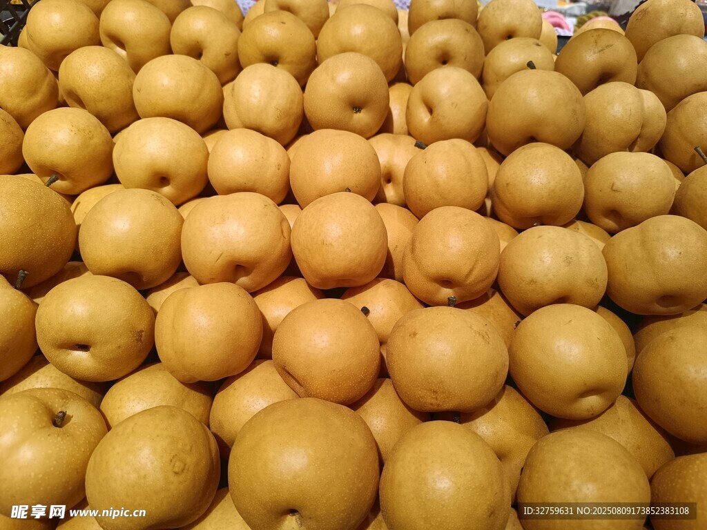 大量黄梨堆叠展示
