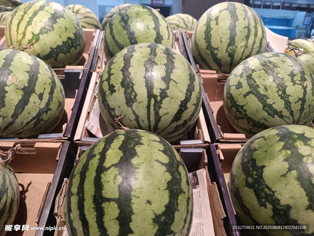 整齐摆放的新鲜大西瓜