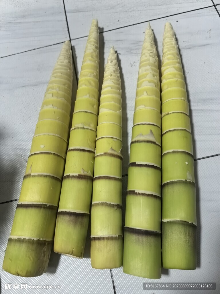 新鲜嫩竹笋整齐摆放