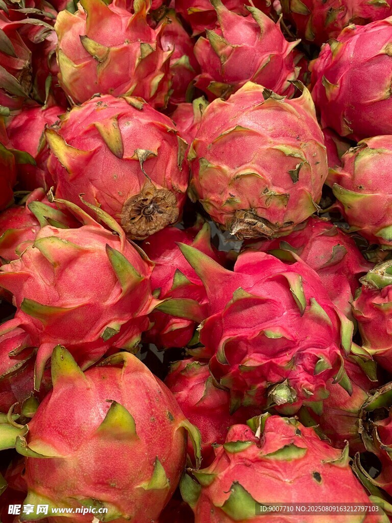 新鲜火龙果堆叠