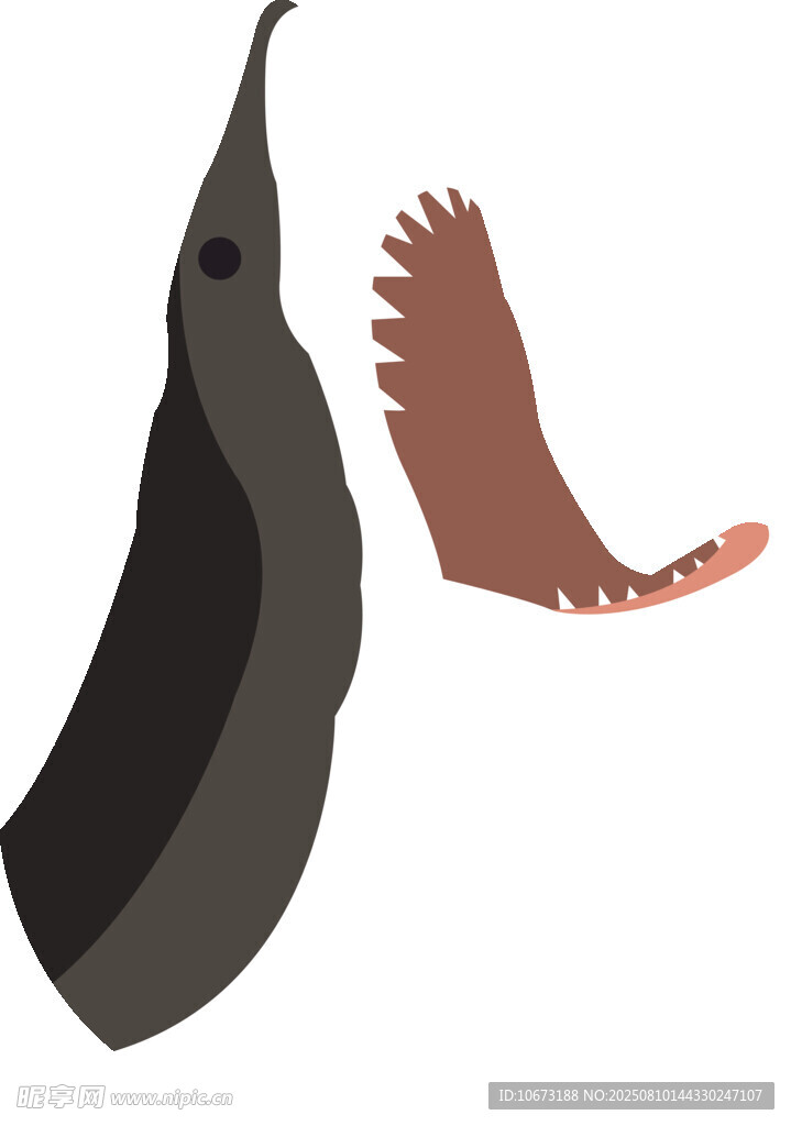 鸟的喙与翅膀示意图