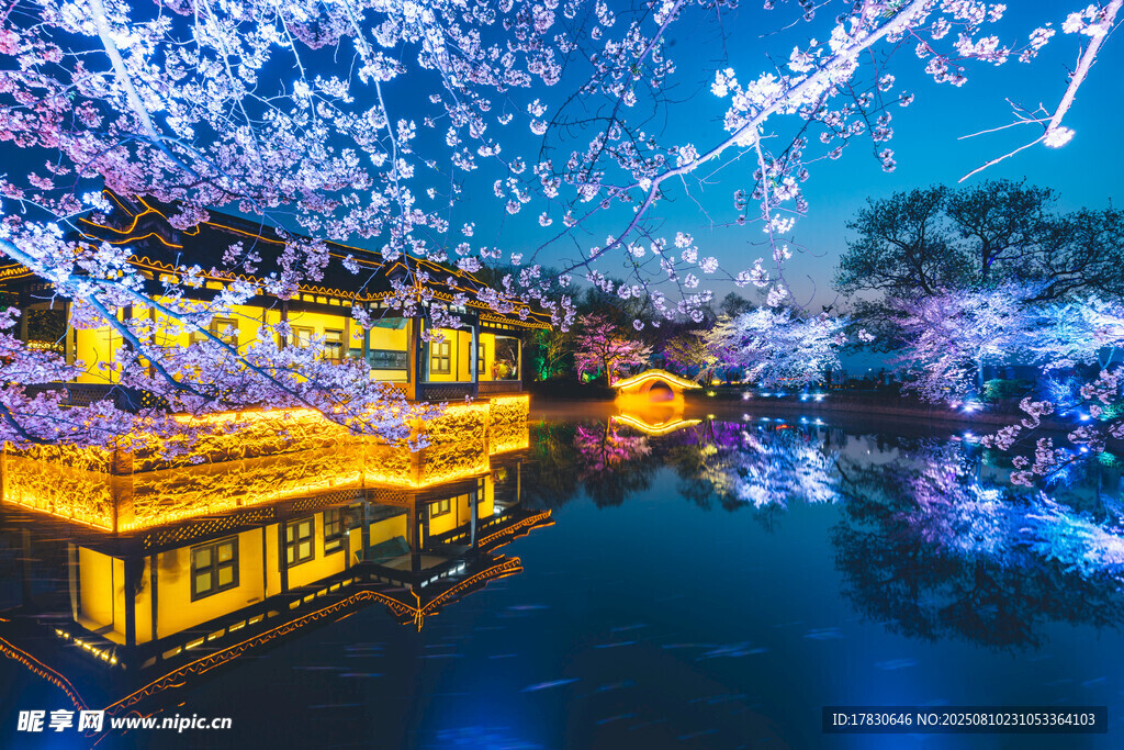 无锡鼋头渚樱花