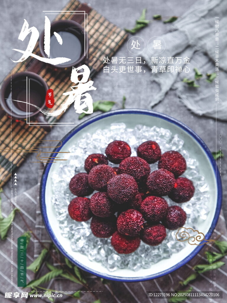 处暑时节的新鲜红杨梅