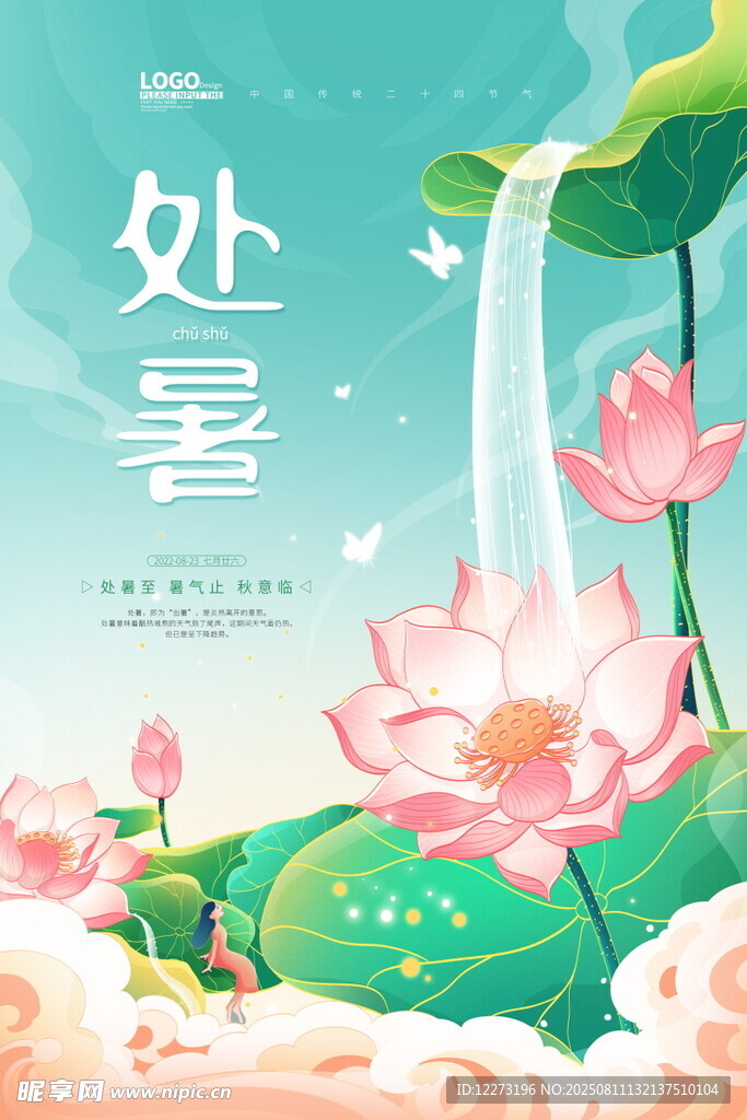 处暑时节荷花绽放美景