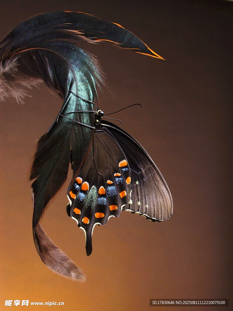 奇幻机械昆虫展翅飞翔