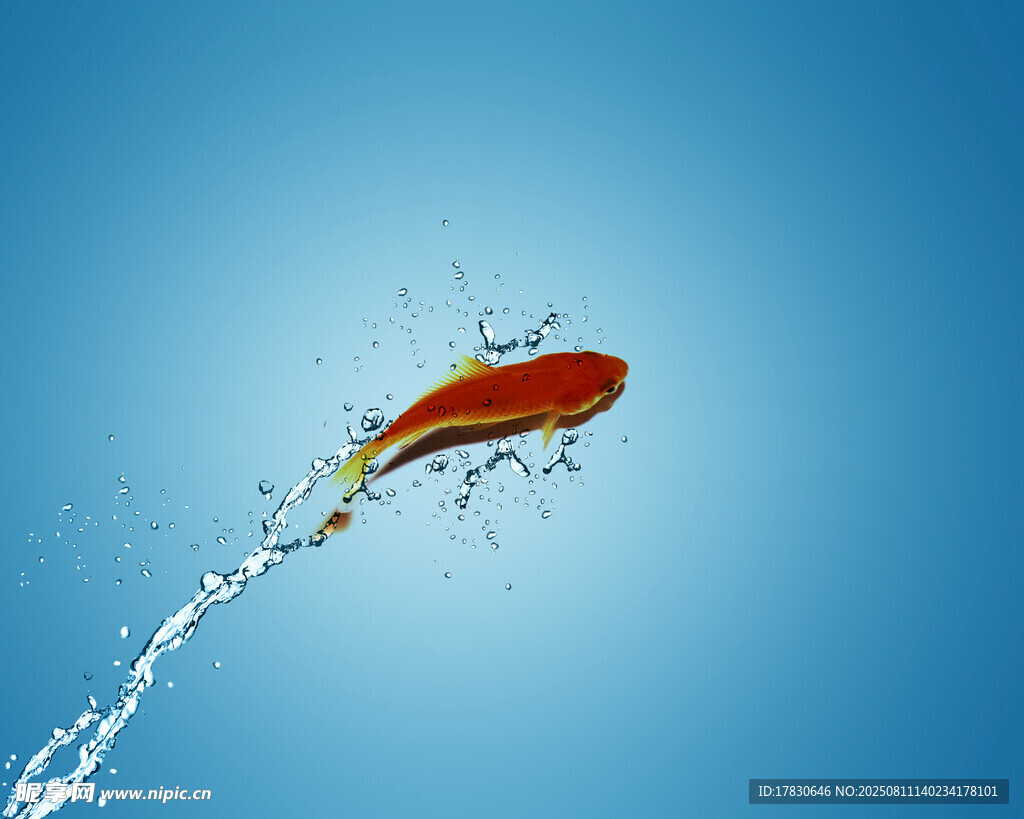 红鱼破水跃出蓝天背景