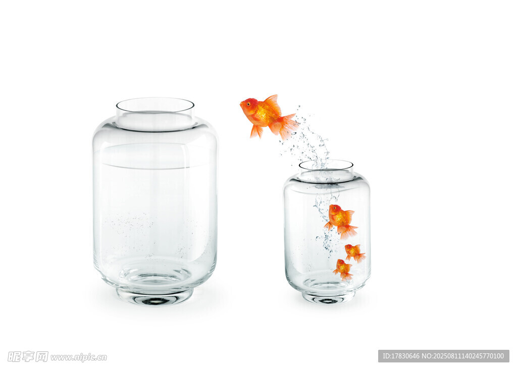 金鱼跃入透明玻璃罐