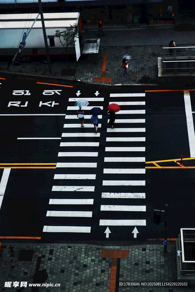 雨中行人过斑马线