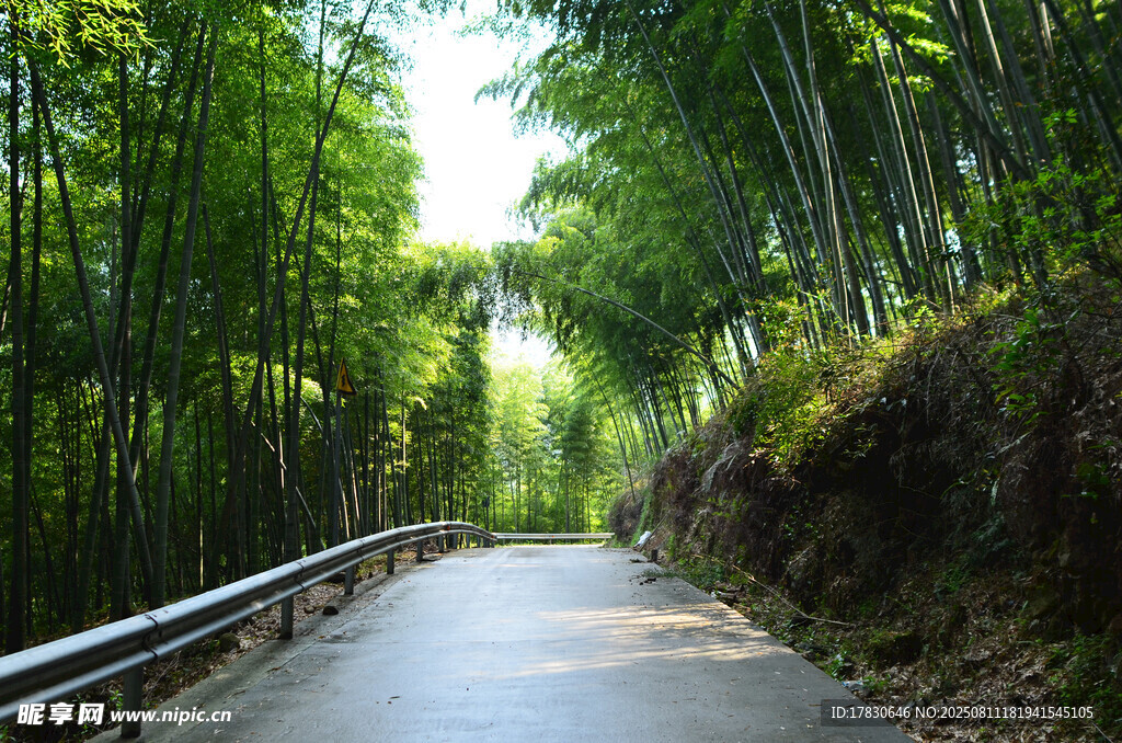 夏天的奉化中山公园