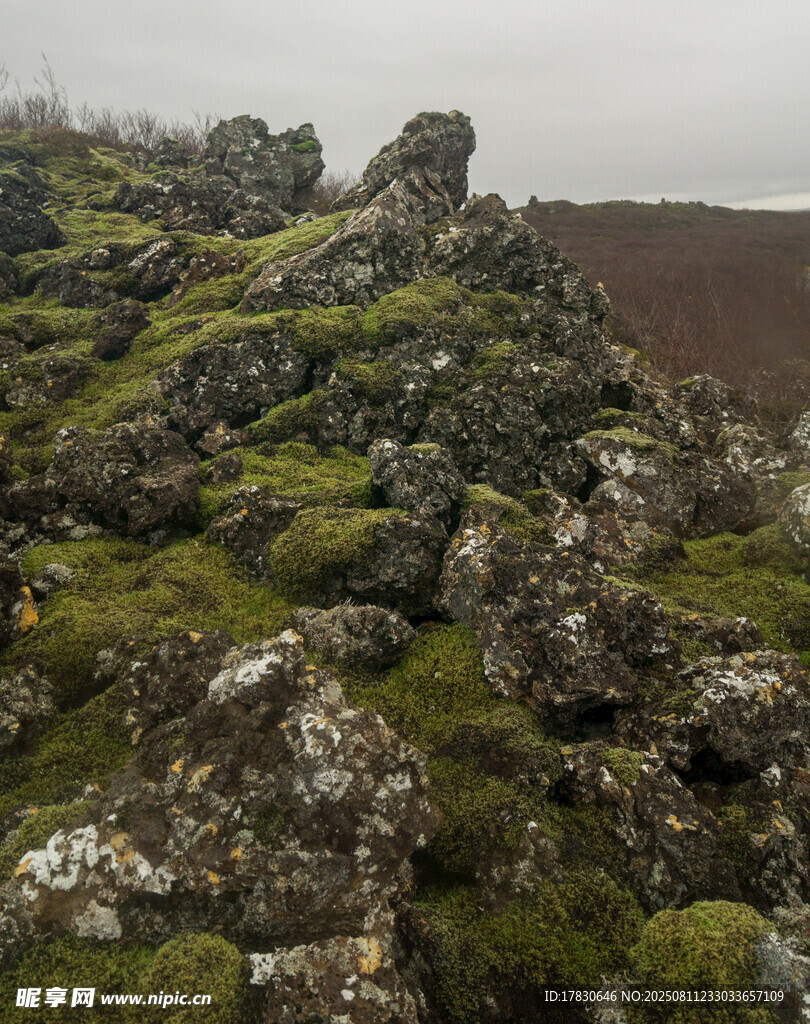 冰岛苔藓覆盖的嶙峋岩石景观