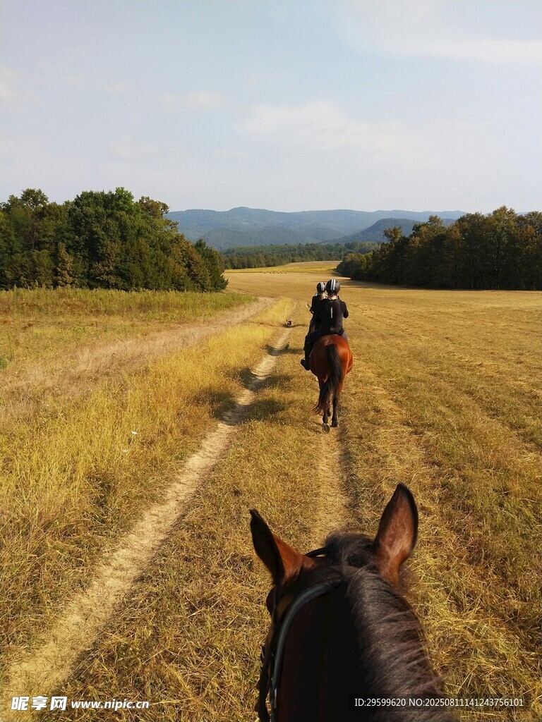 草原上的马背骑行之旅