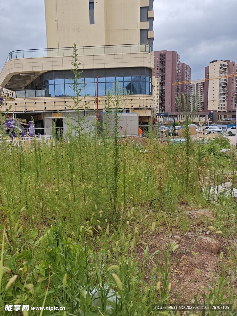 城市中荒废草地与建筑景观