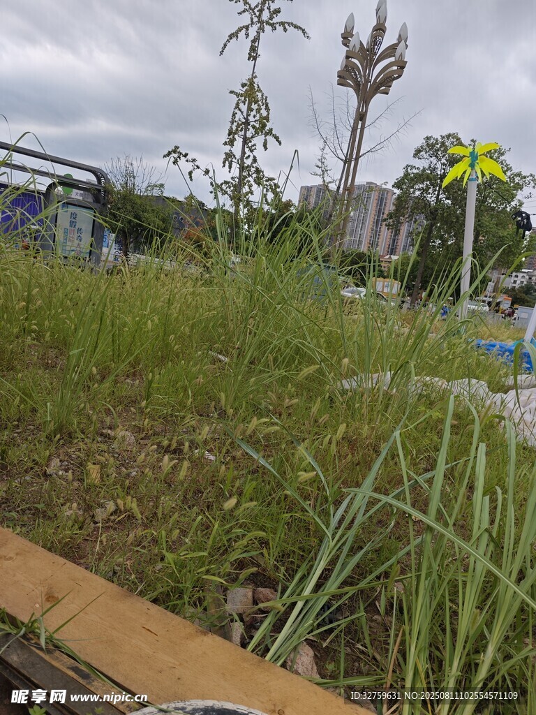 杂草丛生的荒废户外场景