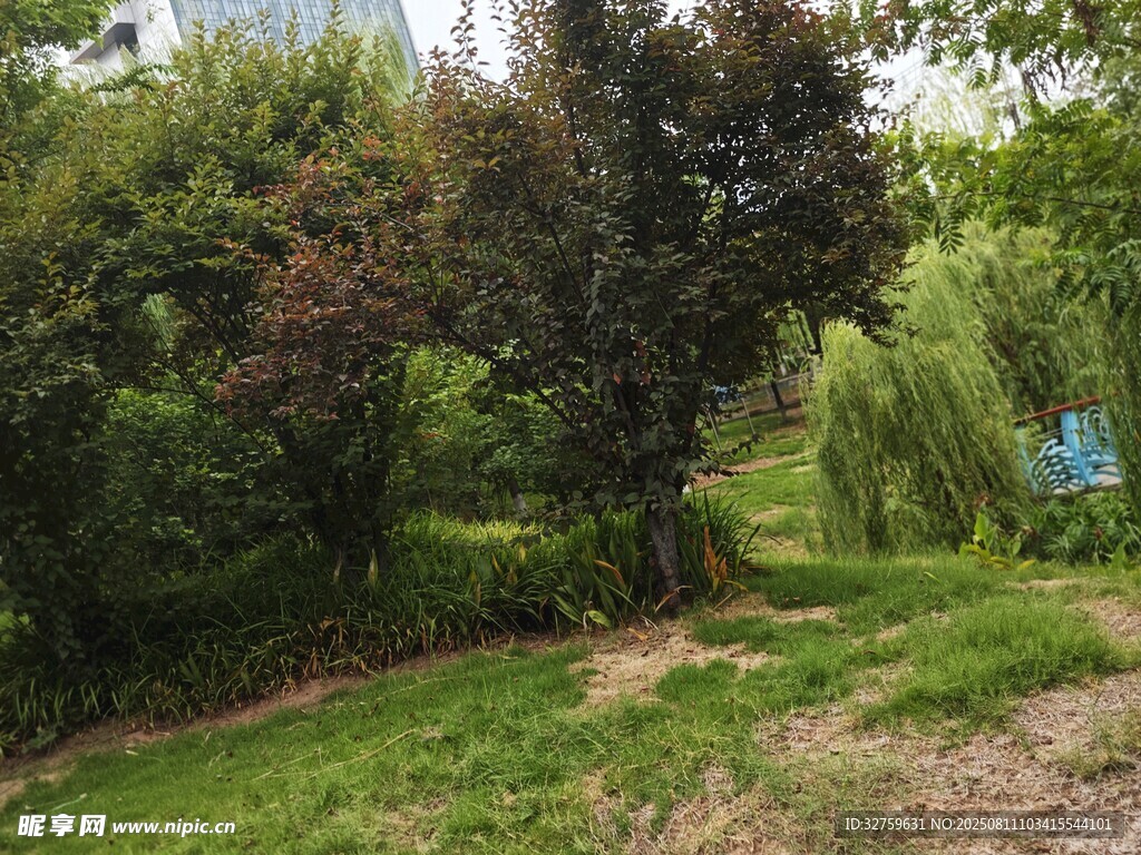 绿意盎然的自然景观