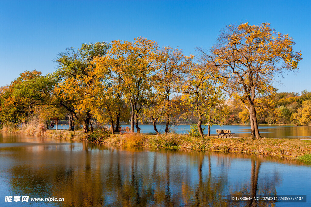 南京紫金山前湖月牙堤秋色