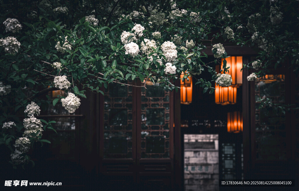 春天南京清凉山崇正书院