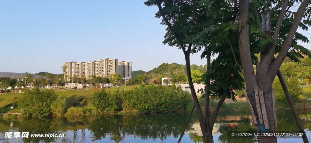 湖畔绿树环绕的城市风光