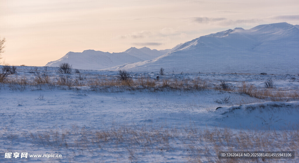 冬日雪景中的广袤原野