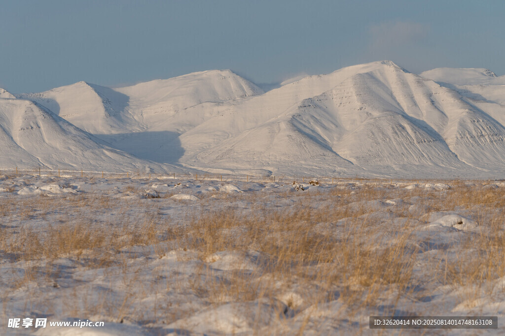 雪覆山峦下的枯黄原野