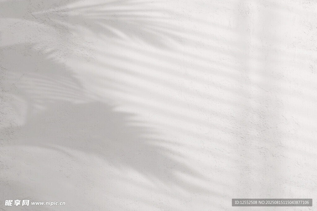 光影下的棕榈叶纹理