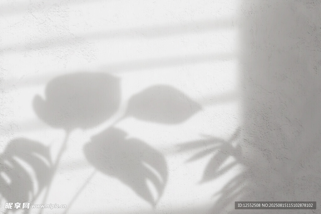 窗下植物的朦胧光影