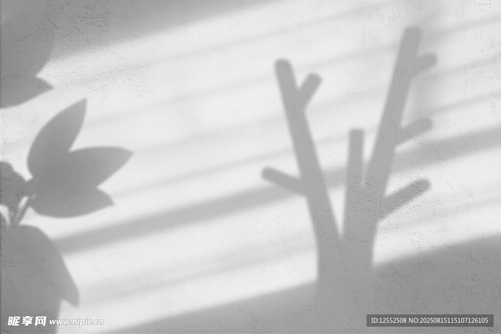 窗下植物光影剪影