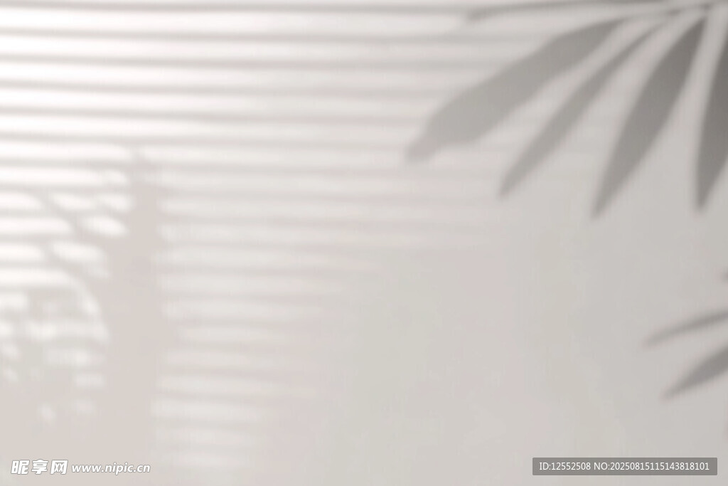 百叶窗下的植物光影