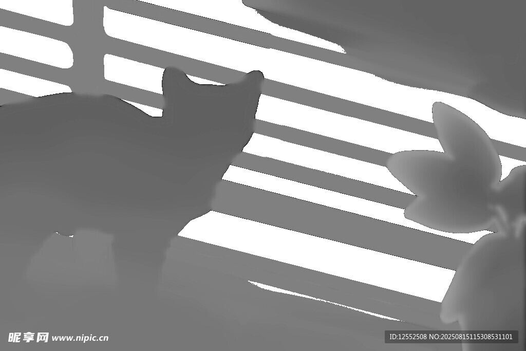 光影中猫咪的神秘身影