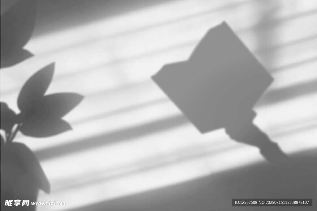 手捧书卷映光影