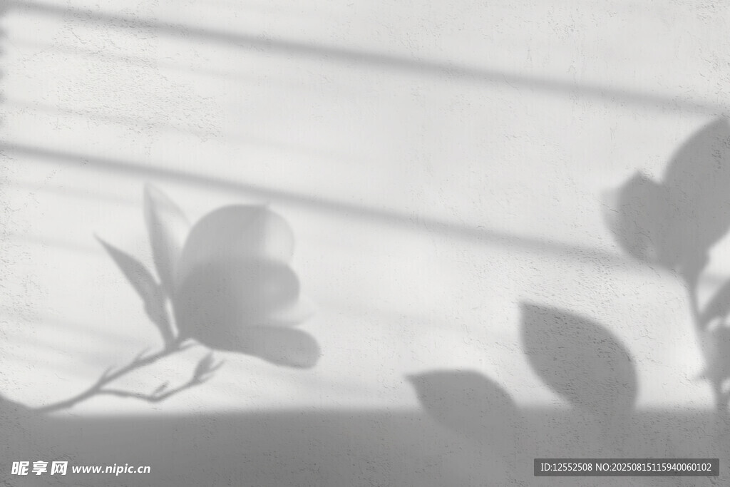 黑白视角下的优雅花卉