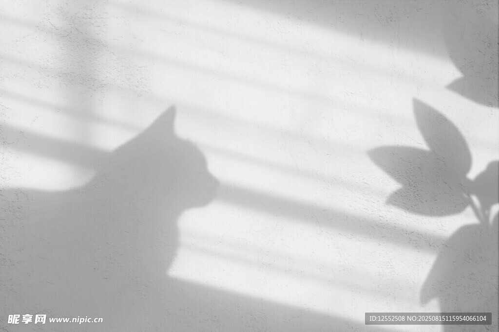 阳光下猫咪与植物的剪影