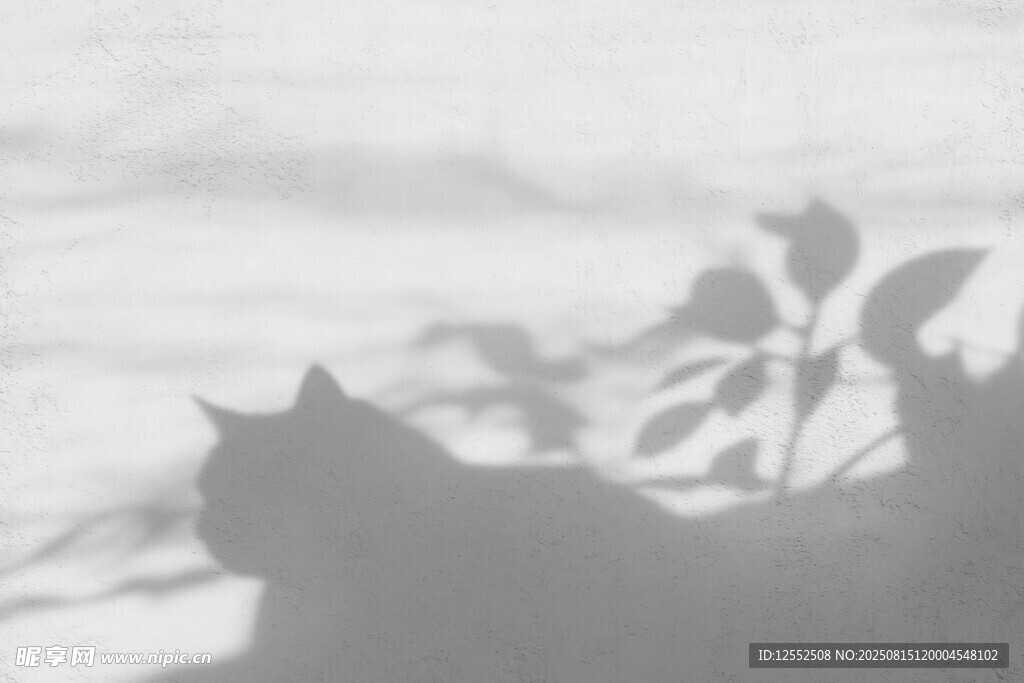 窗边猫咪与植物剪影