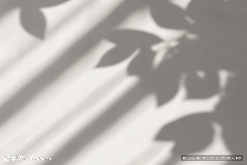 窗上树叶光影斑驳